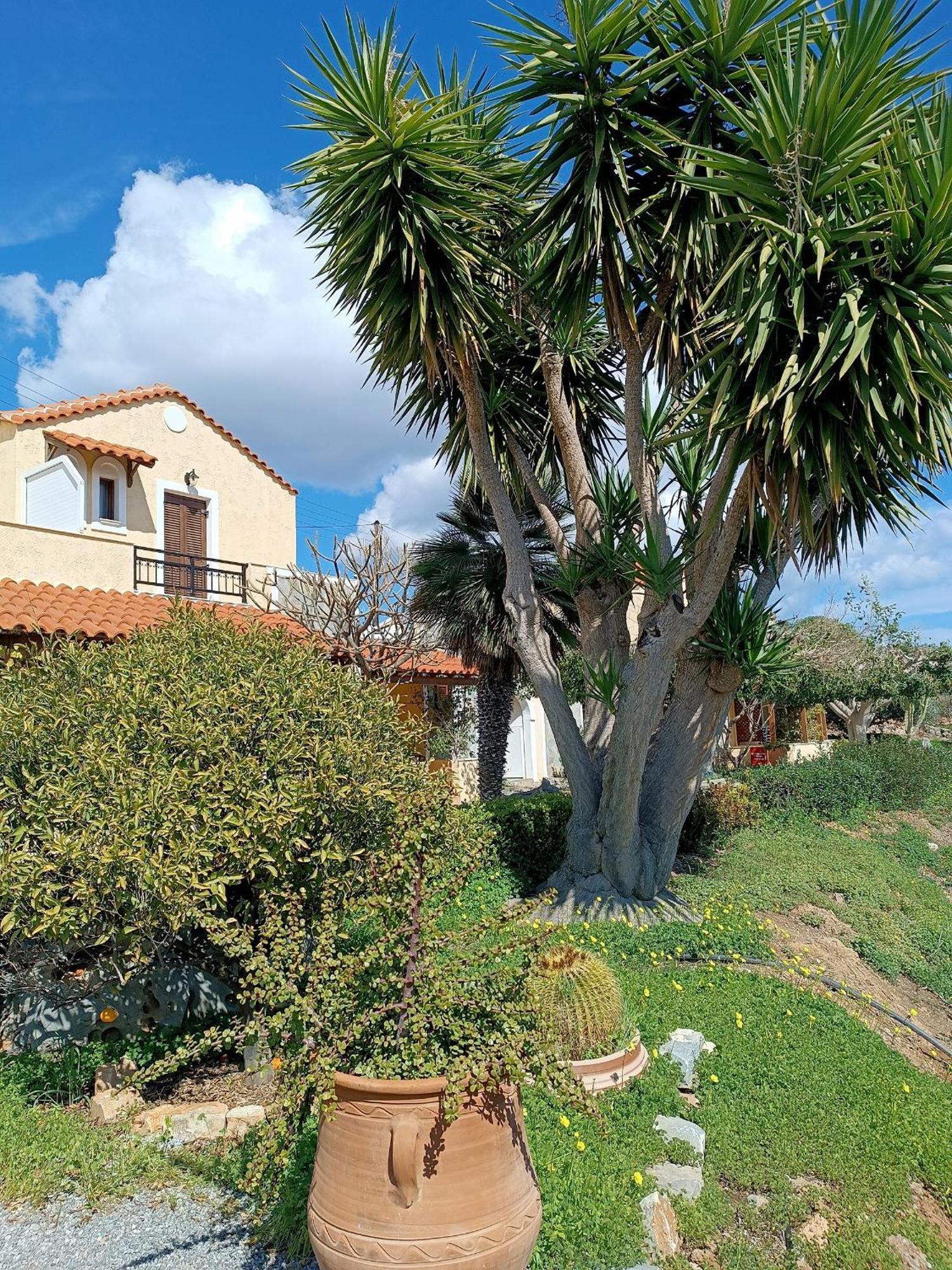 Villa Amalia Palekastro Luaran gambar